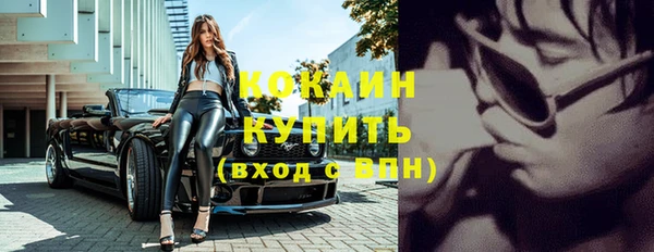 ГАЛЛЮЦИНОГЕННЫЕ ГРИБЫ Переславль-Залесский